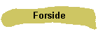 Forside